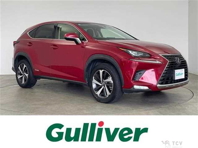 2019 Lexus NX