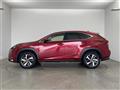 2019 Lexus NX