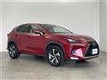 2019 Lexus NX