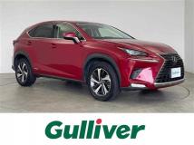 2019 Lexus NX