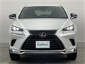 2020 Lexus NX