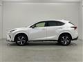 2020 Lexus NX