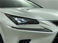 2020 Lexus NX