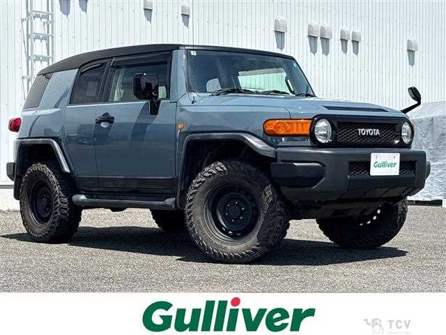 2011 Toyota FJ Cruiser