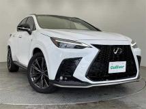 2024 Lexus NX