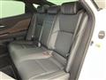 2023 Toyota Crown