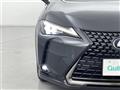 2021 Lexus UX