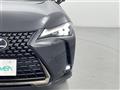 2021 Lexus UX