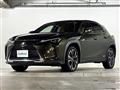 2020 Lexus UX