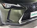 2020 Lexus UX