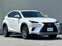 2019 Lexus NX