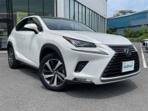 2018 Lexus NX