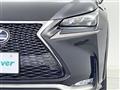 2015 Lexus NX