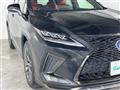 2020 Lexus RX
