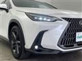 2022 Lexus NX