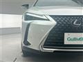2020 Lexus UX