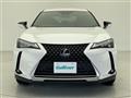 2020 Lexus UX