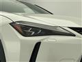 2020 Lexus UX