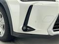 2020 Lexus UX