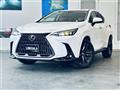 2021 Lexus NX