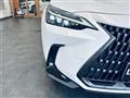 2021 Lexus NX