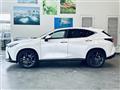 2021 Lexus NX