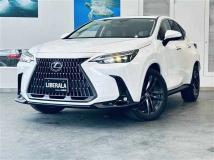 2021 Lexus NX