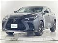 2022 Lexus NX