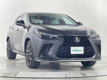 2022 Lexus NX