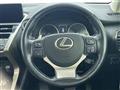 2020 Lexus NX