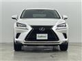 2020 Lexus NX