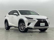 2020 Lexus NX
