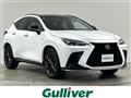 2021 Lexus NX