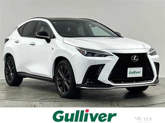2021 Lexus NX