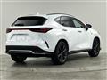 2021 Lexus NX