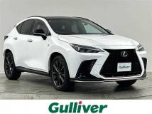 2021 Lexus NX