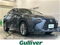 2022 Lexus NX