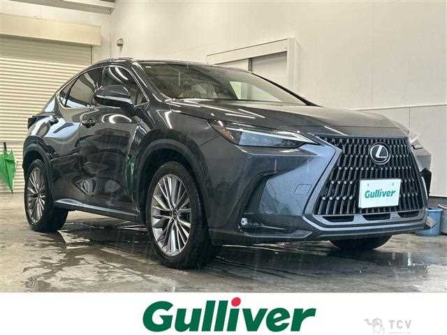 2022 Lexus NX