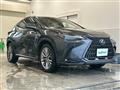 2022 Lexus NX