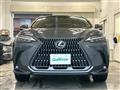 2022 Lexus NX