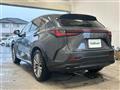 2022 Lexus NX