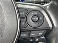 2019 Toyota Corolla Sports