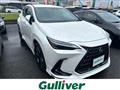 2022 Lexus NX