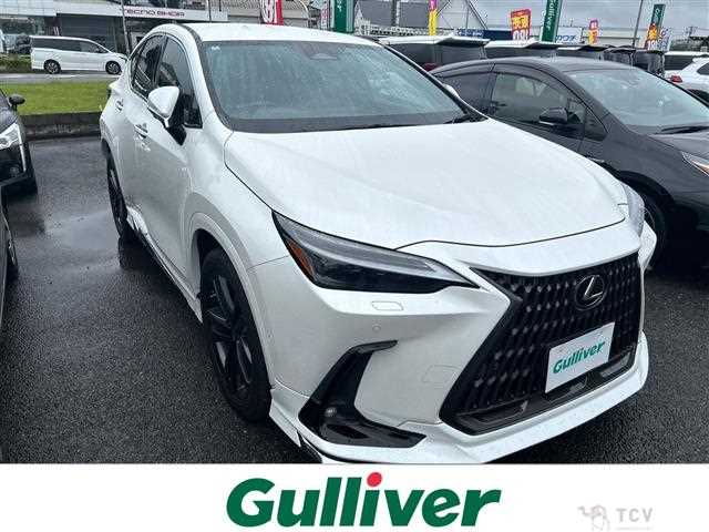 2022 Lexus NX