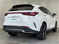 2024 Lexus NX