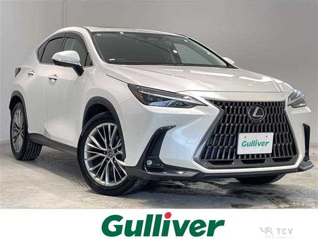 2023 Lexus NX