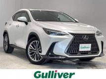 2023 Lexus NX