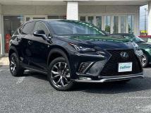 2018 Lexus NX