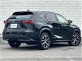2015 Lexus NX