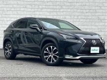 2015 Lexus NX